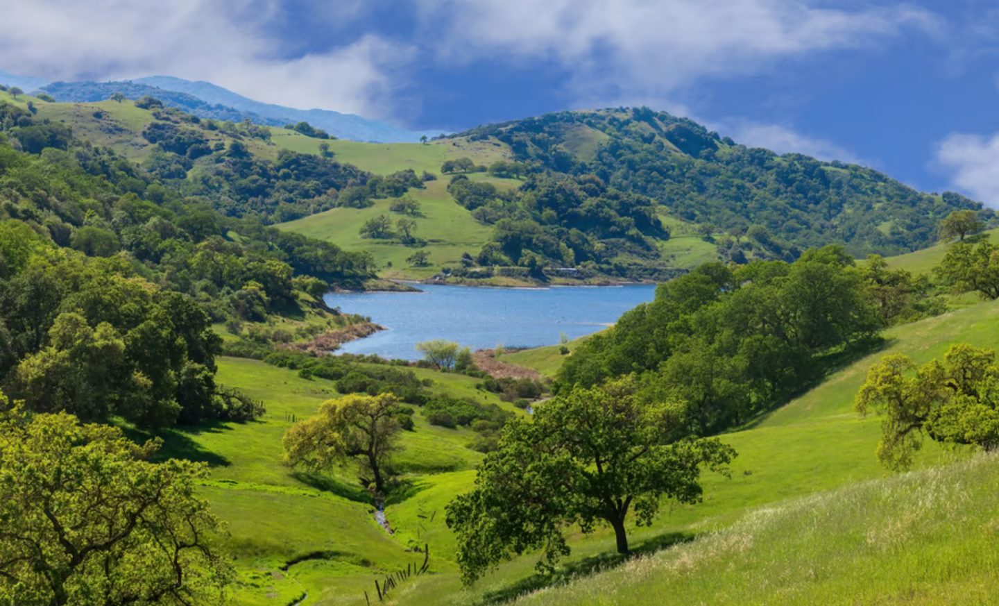 santa clara